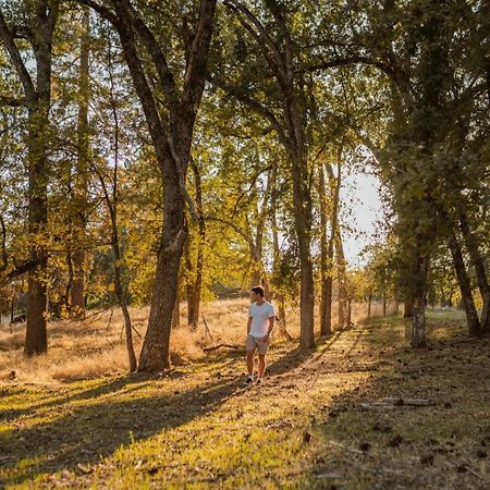 Lovers Nest By Casa Oso With Private Hiking Trails And Pond Mariposa Dış mekan fotoğraf