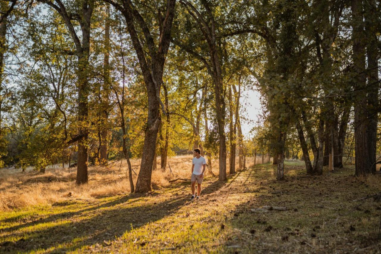 Lovers Nest By Casa Oso With Private Hiking Trails And Pond Mariposa Dış mekan fotoğraf