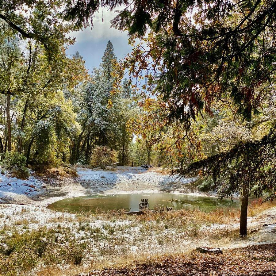 Lovers Nest By Casa Oso With Private Hiking Trails And Pond Mariposa Dış mekan fotoğraf